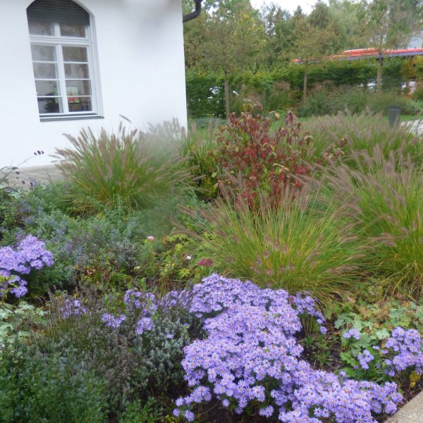 10 Ideen für Vorgärten