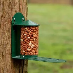 Eichhörnchen, Igel & Co.: Wie Sie ihnen jetzt im Garten helfen können 50