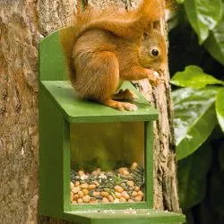 Eichhörnchen, Igel & Co.: Wie Sie ihnen jetzt im Garten helfen können 53