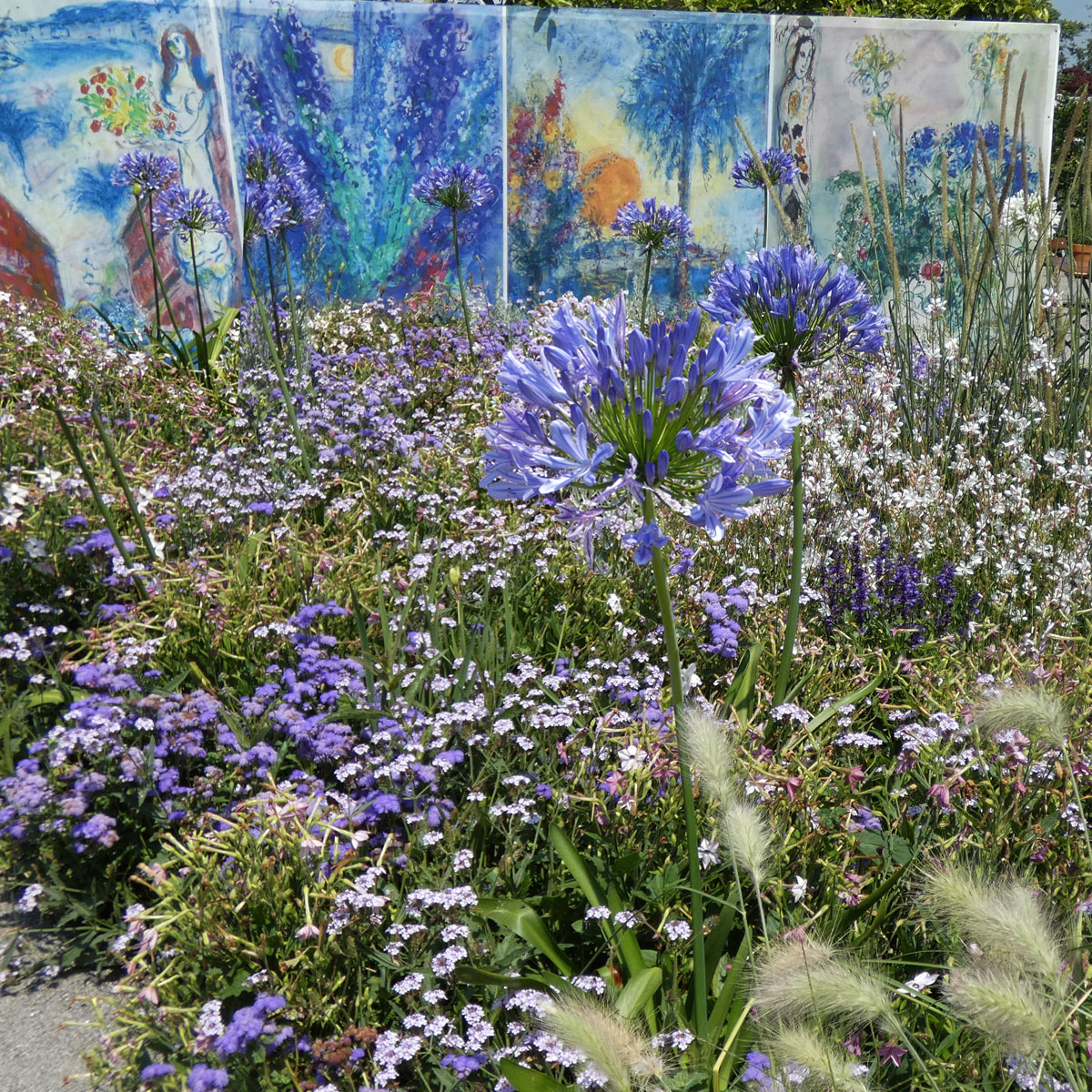 Die Wirkung von Farben im Garten