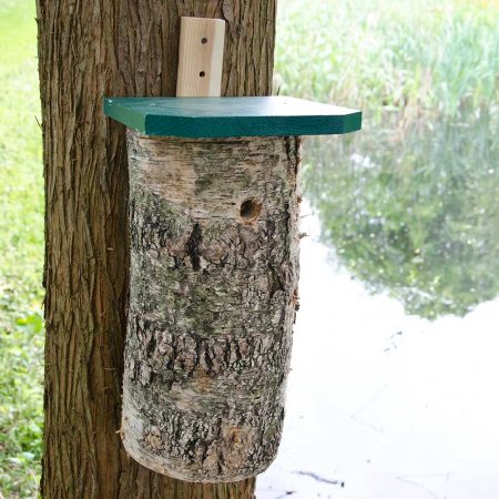 Wie Sie jetzt Vögel unterstützen können: Nistkästen aufhängen 16