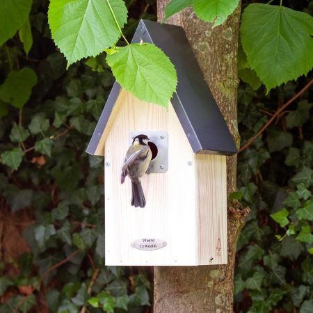 Wie Sie jetzt Vögel unterstützen können: Nistkästen aufhängen 17