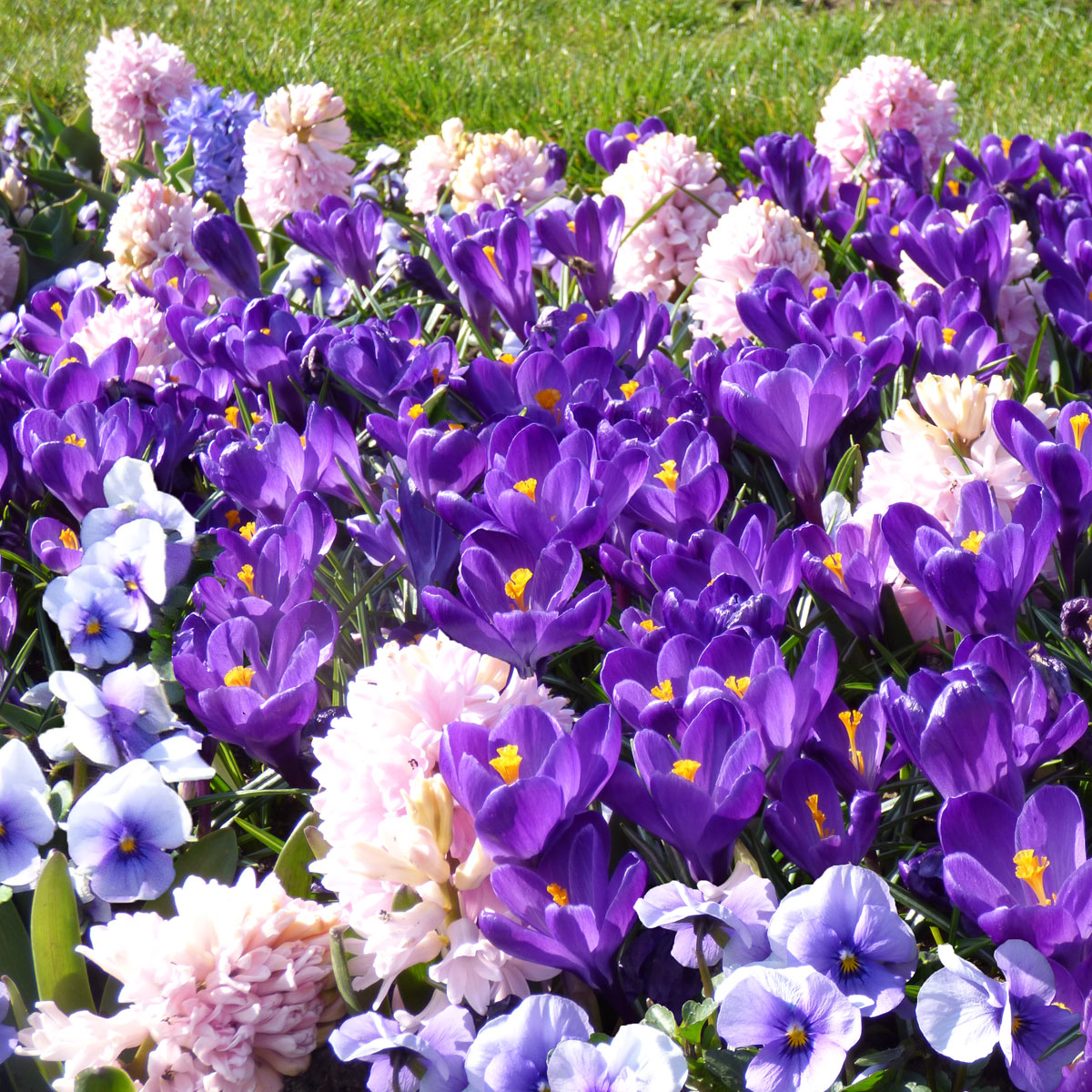 Zauberhafte Blumenbeet Ideen für den Frühling