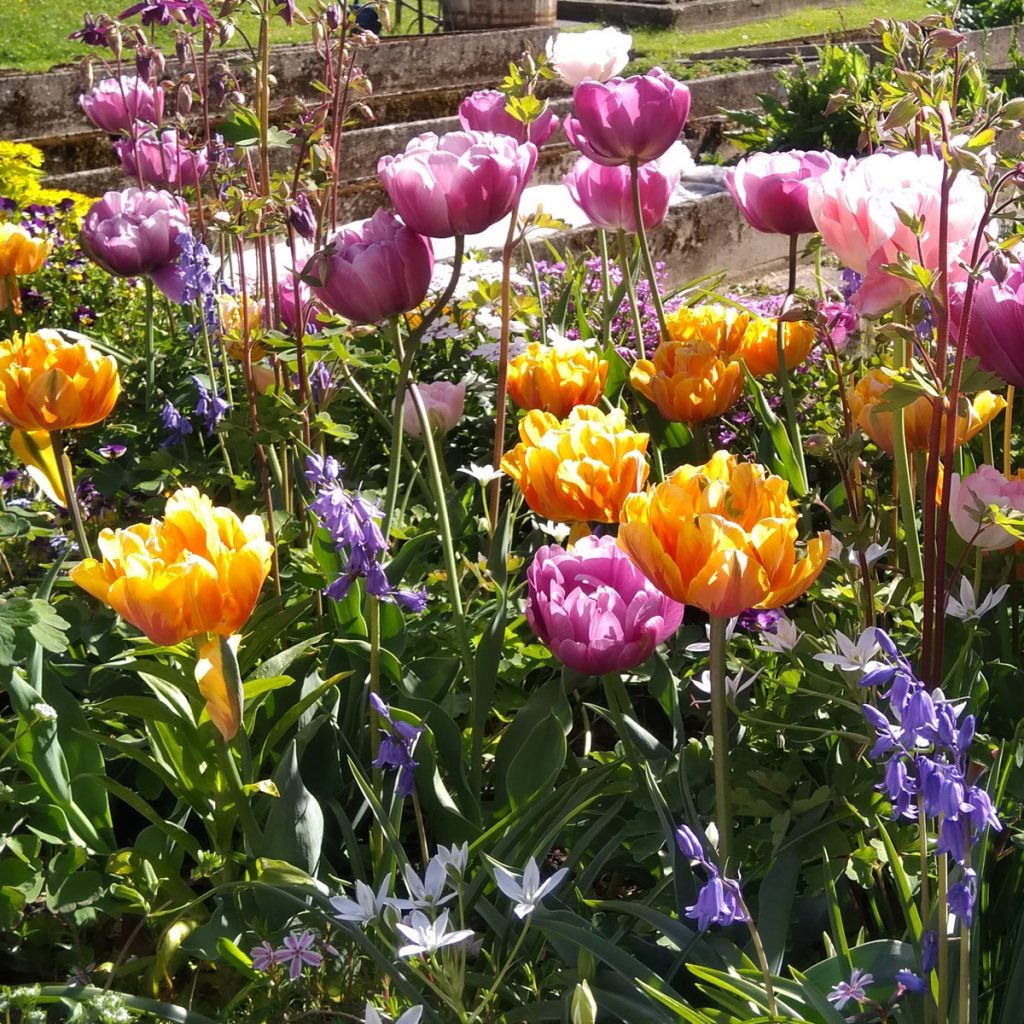 Zauberhafte Blumenbeet Ideen für den Frühling 74