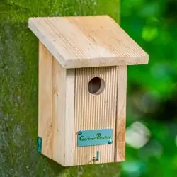 Wie Sie jetzt Vögel unterstützen können: Nistkästen aufhängen 6