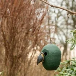 Vögel im Garten: Wie Sie mehr Vögel anlocken können 10