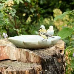 Vögel im Garten: Wie Sie mehr Vögel anlocken können 13