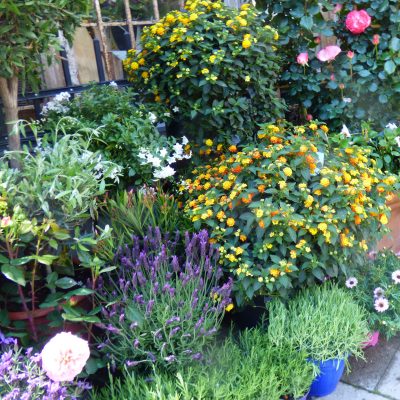 Balkon mediterran gestalten