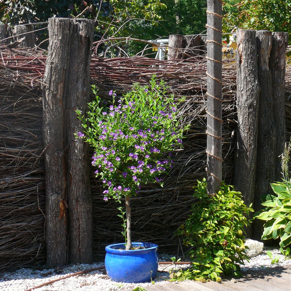 Natürlich und voller Leben: Kreative Ideen mit Totholz im Garten 5