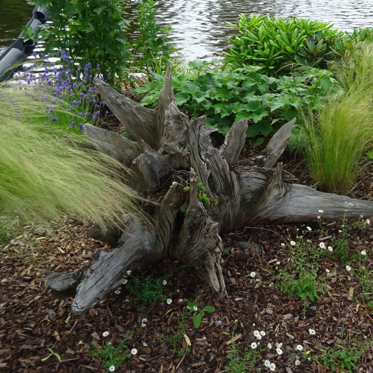 Kreative Ideen mit Totholz im Garten