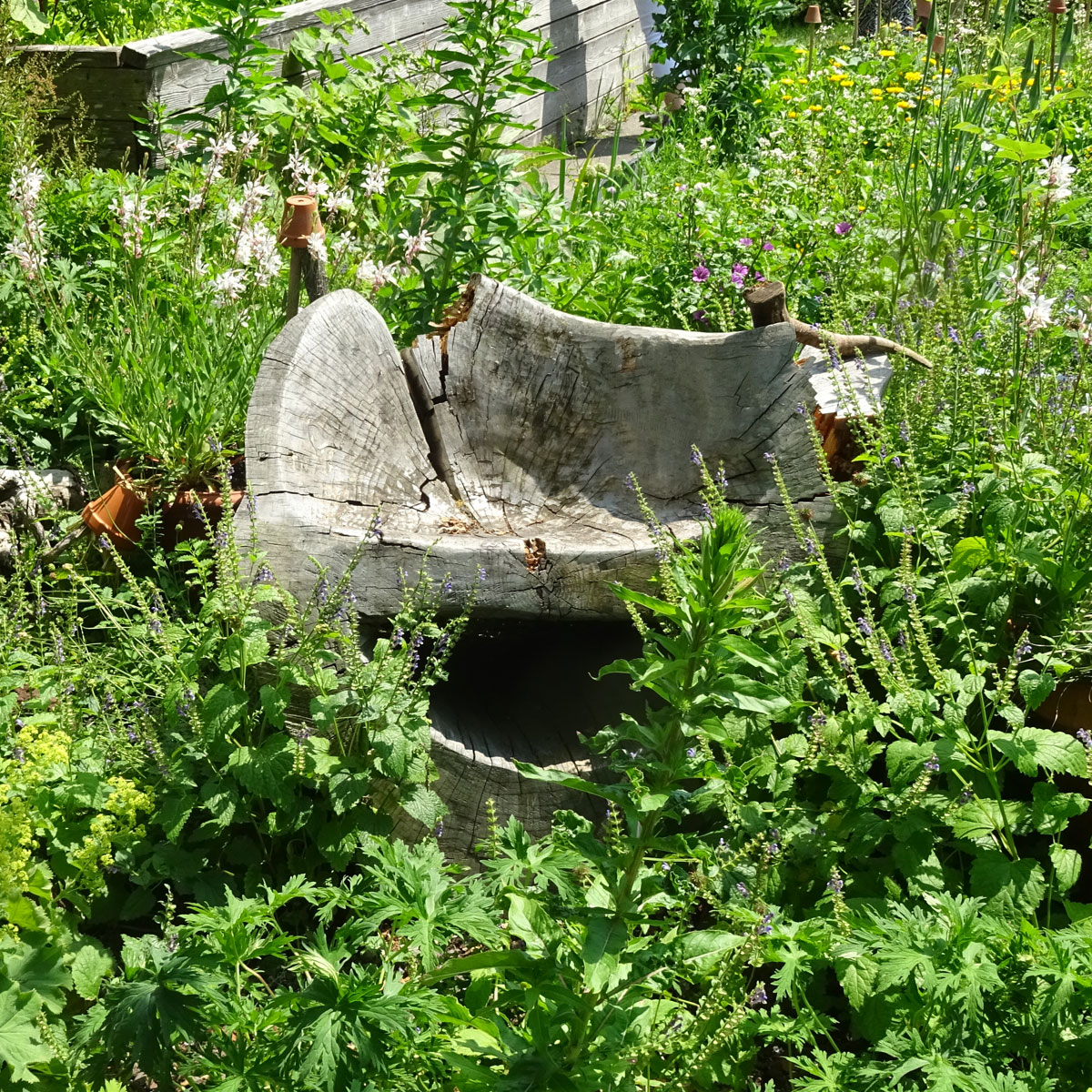 Kreative Ideen mit Totholz im Garten