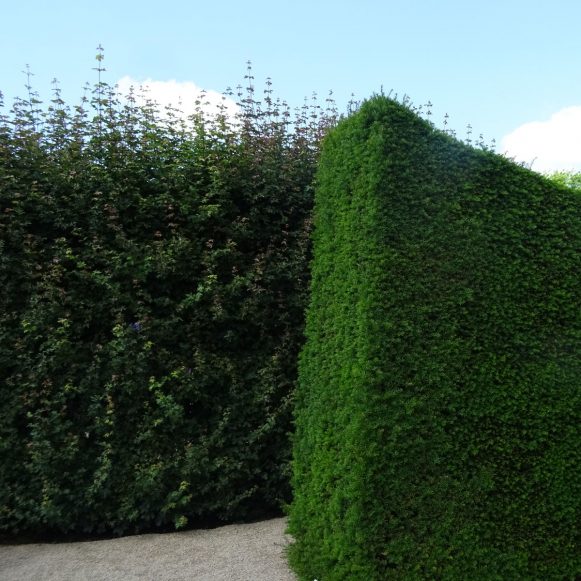 Erstaunlich Knstliche Hecke Sichtschutz Fotos