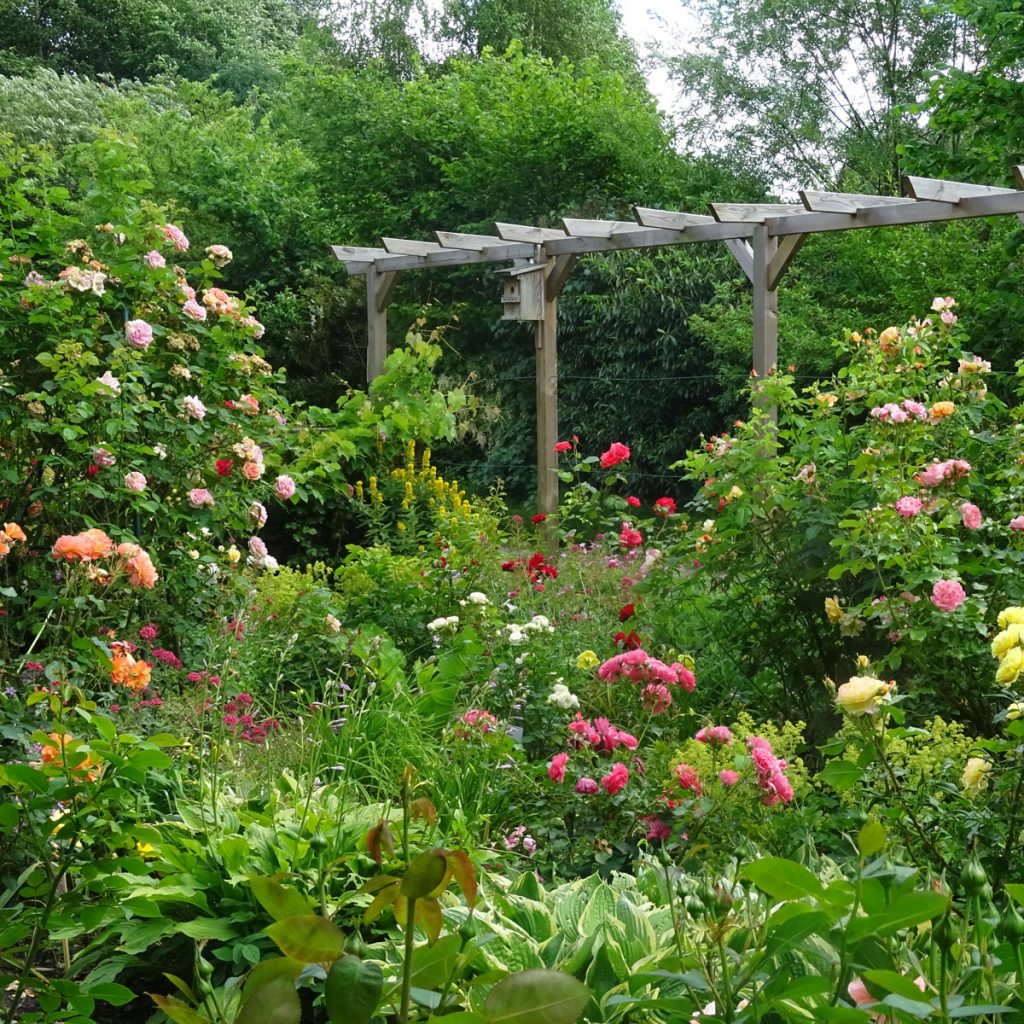 10 Cottage Garten Ideen voller Romantik und Natürlichkeit 34