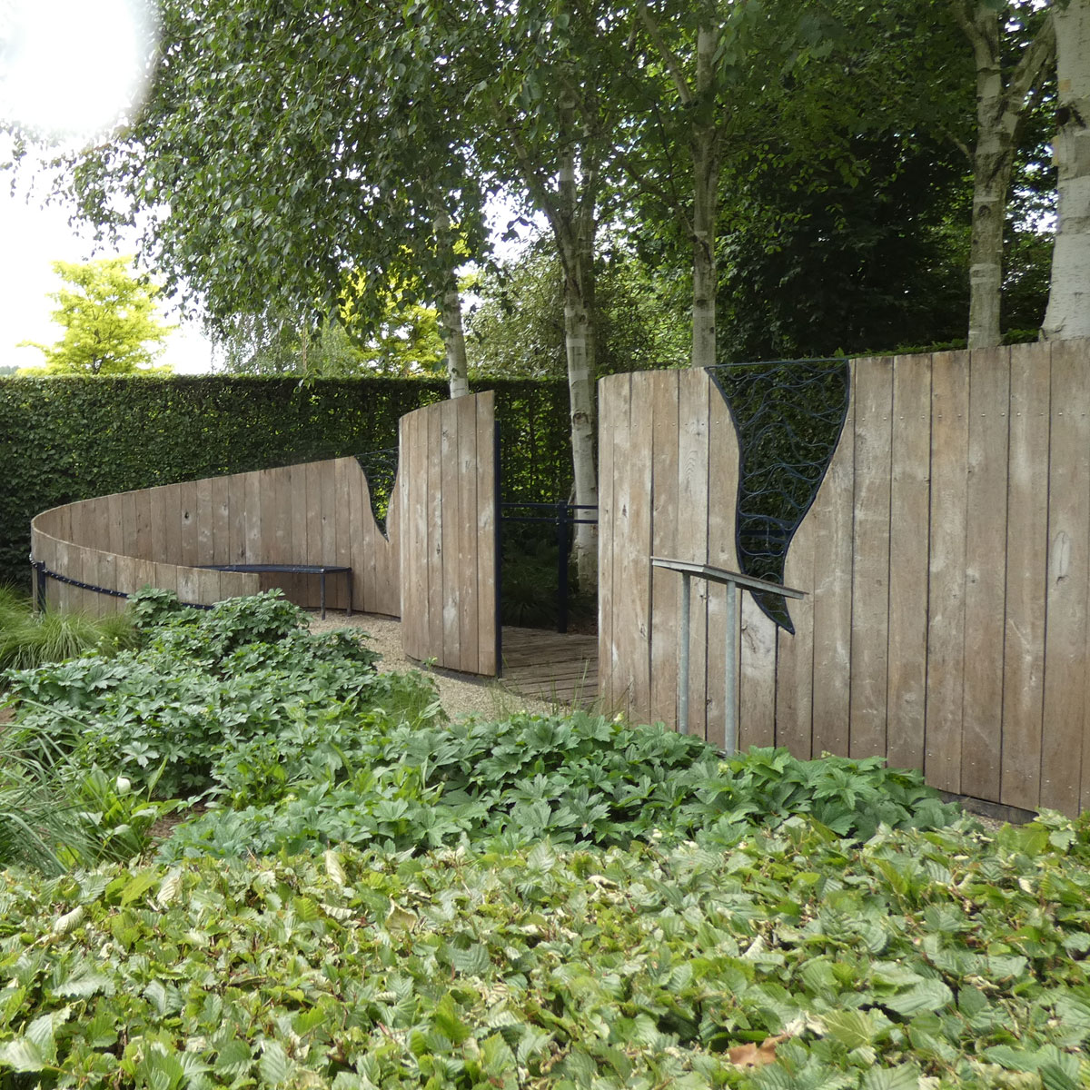 Sichtschutz Hecke modern gestalten Zirol