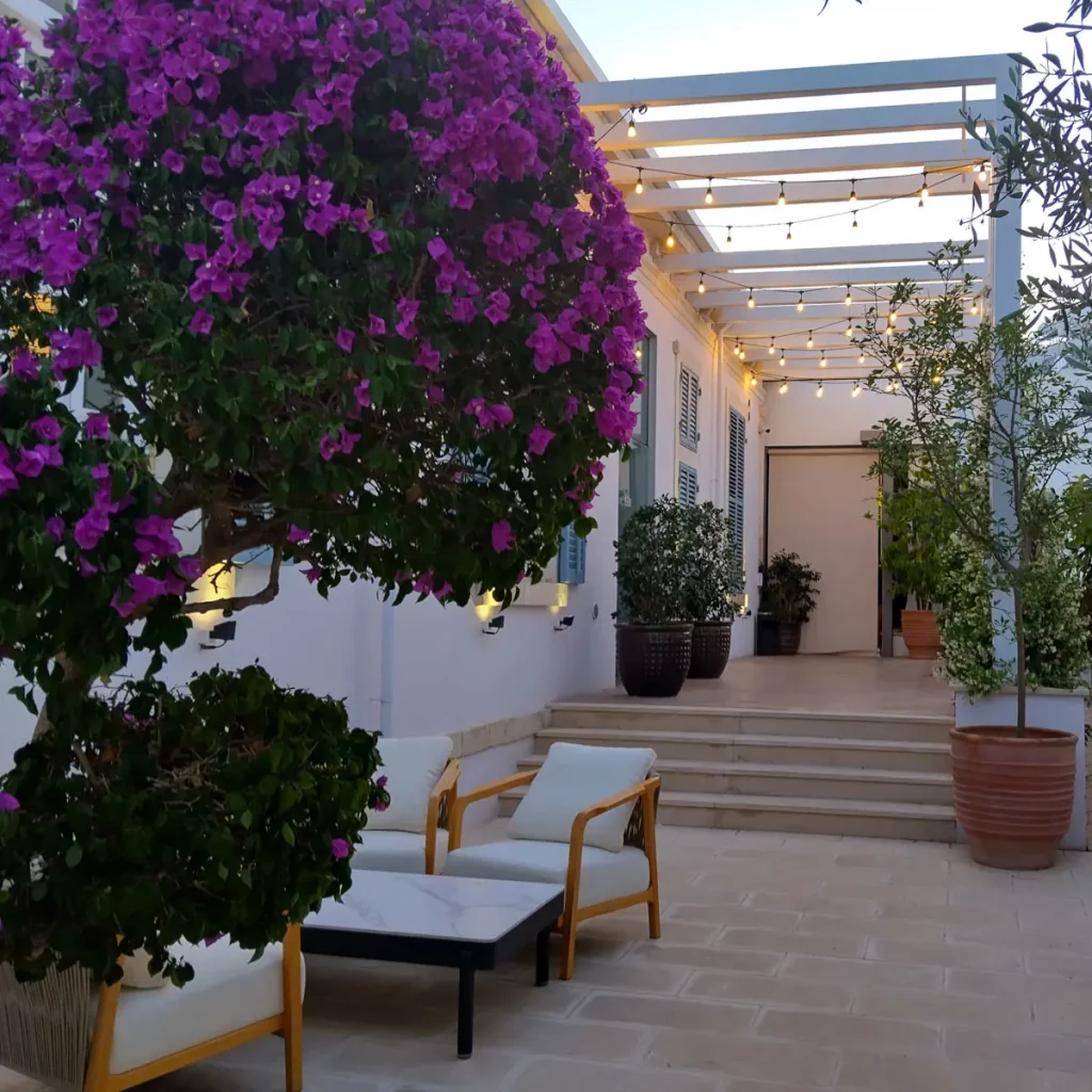 Moderne mediterrane Gärten auf Zypern 17