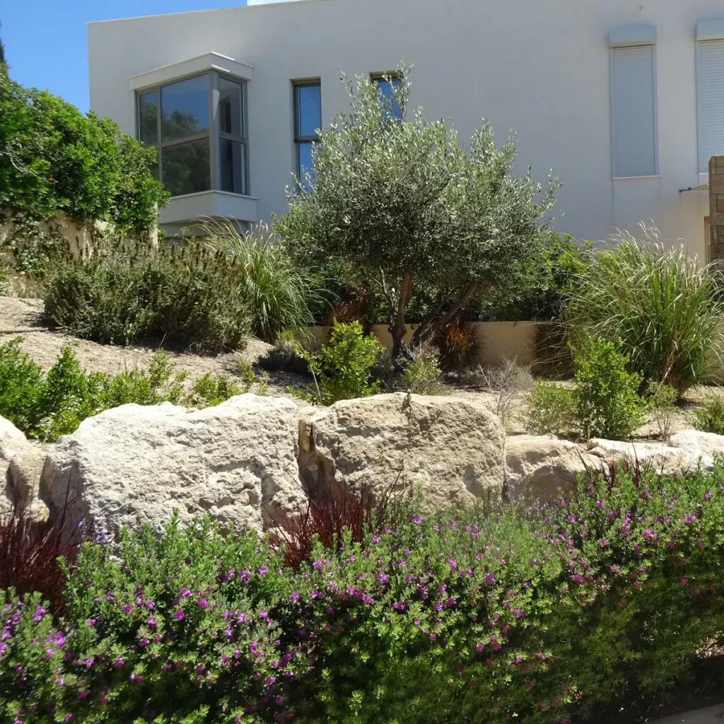 moderne mediterrane Gärten auf Zypern