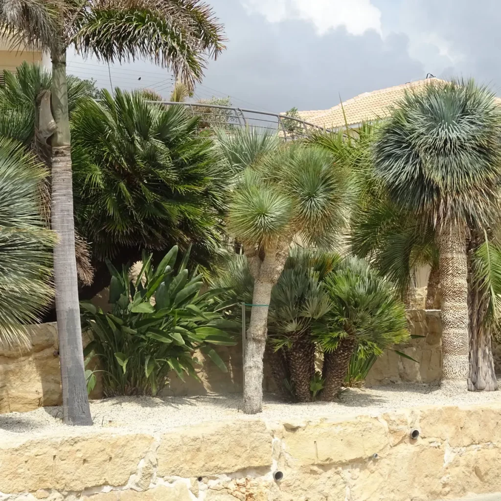 Moderne mediterrane Gärten auf Zypern 10